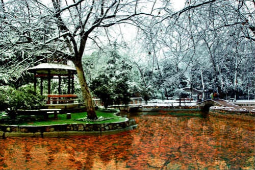 武漢理工大學(xué)余區(qū)青年園雪景